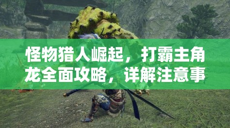 怪物猎人崛起，打霸主角龙全面攻略，详解注意事项在资源管理中的关键作用