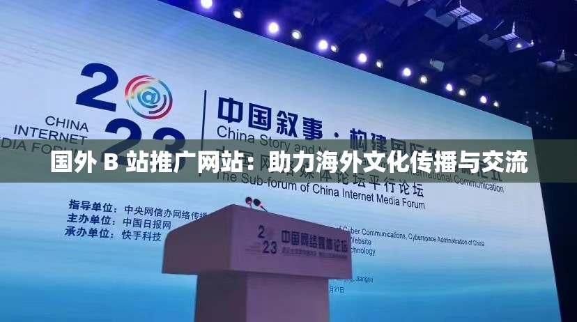 国外 B 站推广网站：助力海外文化传播与交流