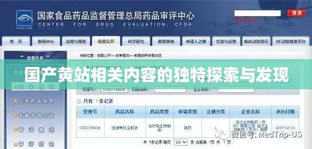 国产黄站相关内容的独特探索与发现
