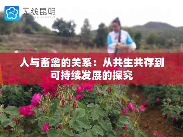 人与畜禽的关系：从共生共存到可持续发展的探究
