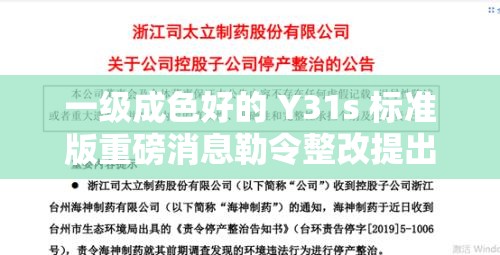一级成色好的 Y31s 标准版重磅消息勒令整改提出：后续影响及应对措施探讨