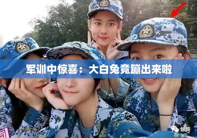 军训中惊喜：大白兔竟蹦出来啦