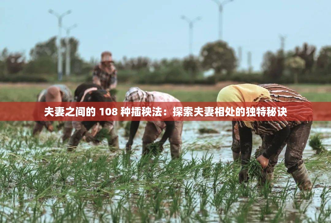 夫妻之间的 108 种插秧法：探索夫妻相处的独特秘诀