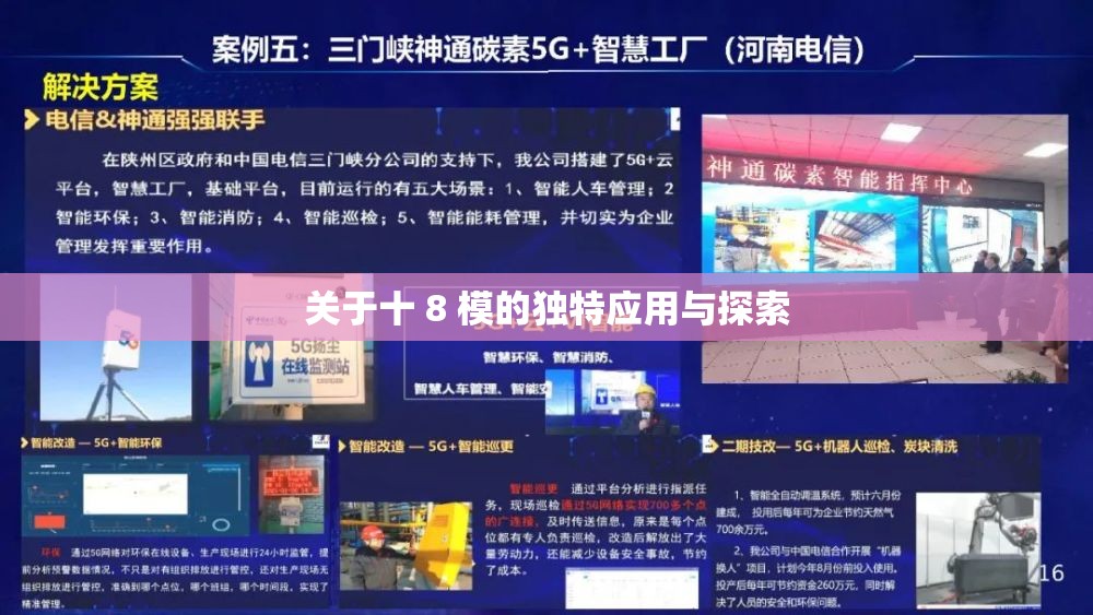 关于十 8 模的独特应用与探索