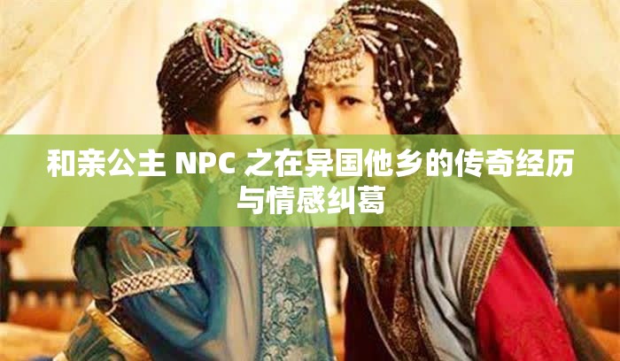 和亲公主 NPC 之在异国他乡的传奇经历与情感纠葛
