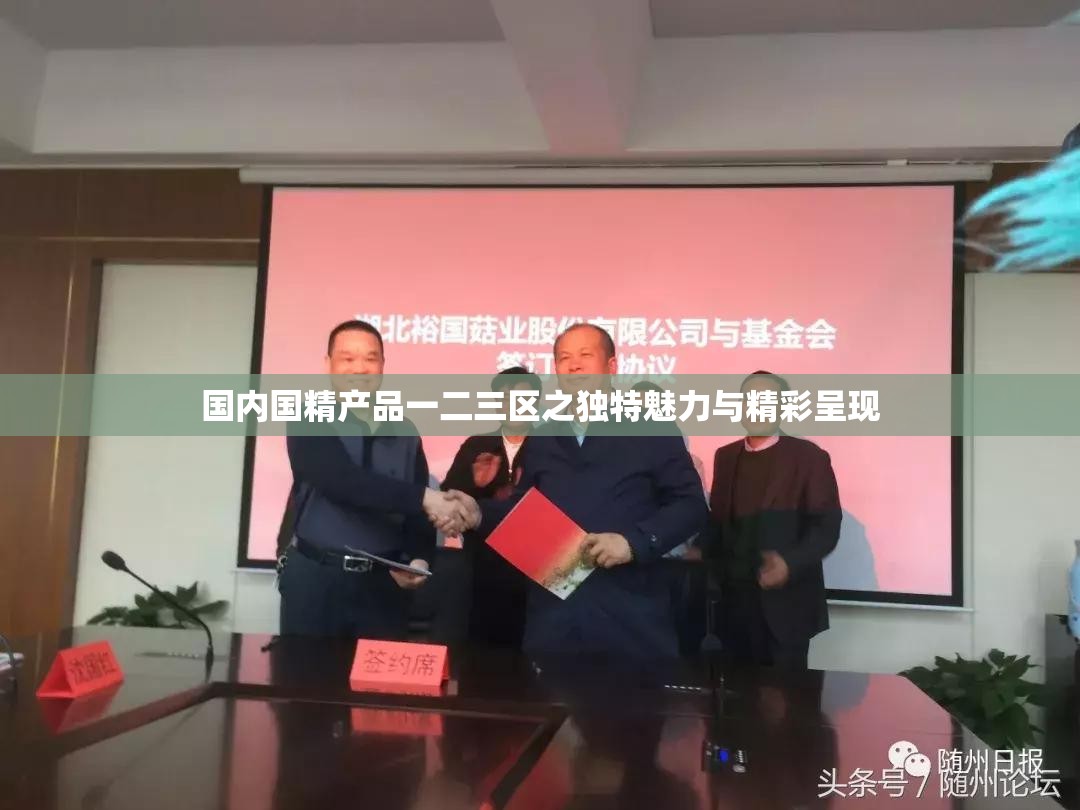 国内国精产品一二三区之独特魅力与精彩呈现