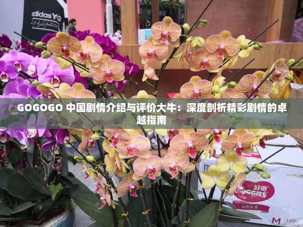 GOGOGO 中国剧情介绍与评价大牛：深度剖析精彩剧情的卓越指南