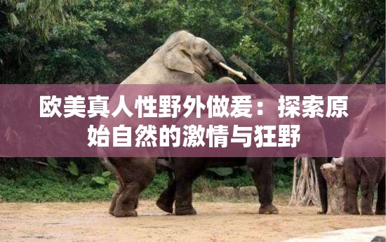 欧美真人性野外做爰：探索原始自然的激情与狂野