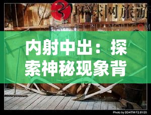 内射中出：探索神秘现象背后的惊人真相与秘密