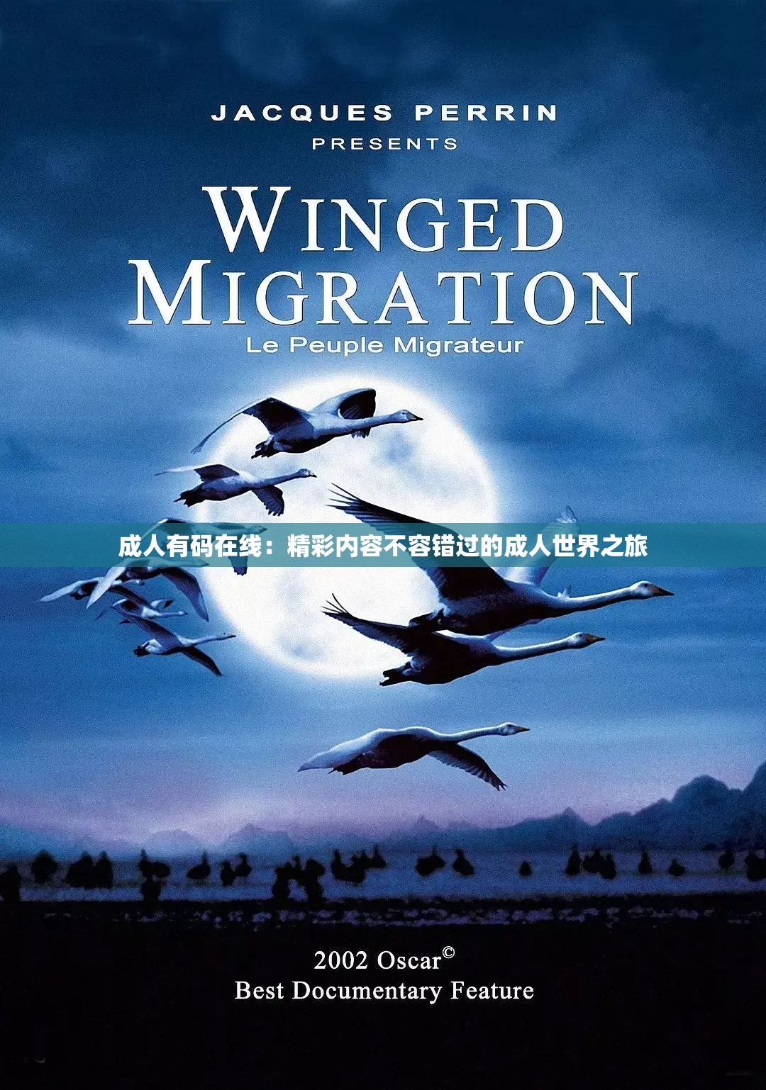 成人有码在线：精彩内容不容错过的成人世界之旅