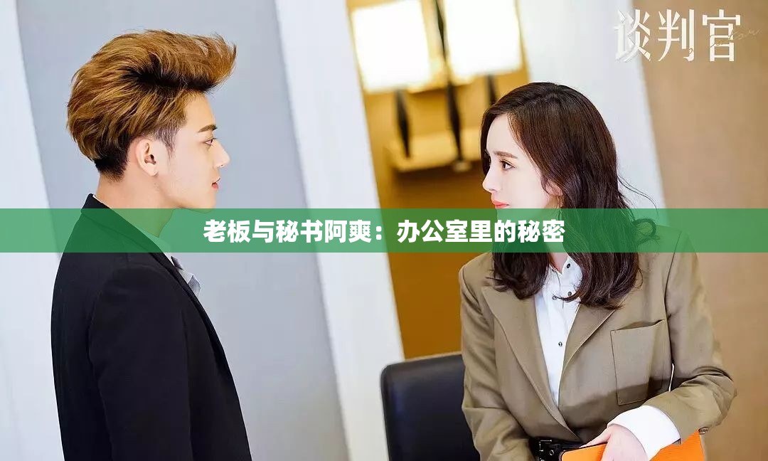 老板与秘书阿爽：办公室里的秘密