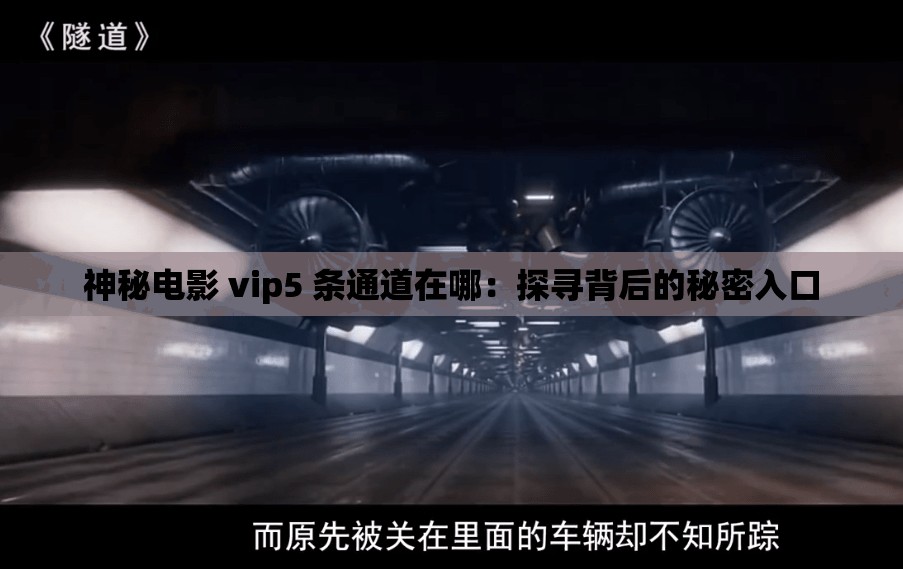 神秘电影 vip5 条通道在哪：探寻背后的秘密入口
