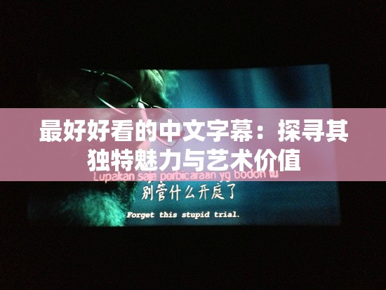 最好好看的中文字幕：探寻其独特魅力与艺术价值