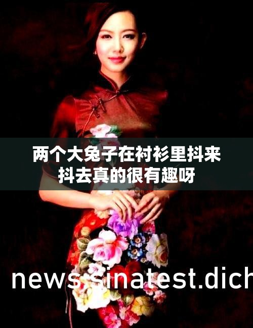 两个大兔子在衬衫里抖来抖去真的很有趣呀