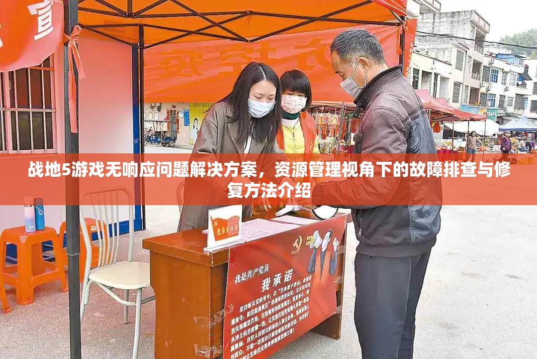 战地5游戏无响应问题解决方案，资源管理视角下的故障排查与修复方法介绍