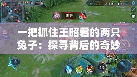一把抓住王昭君的两只兔子：探寻背后的奇妙故事