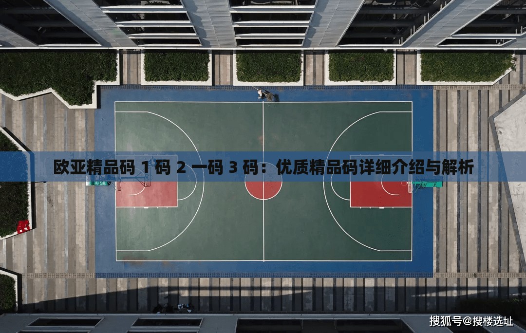 欧亚精品码 1 码 2 一码 3 码：优质精品码详细介绍与解析