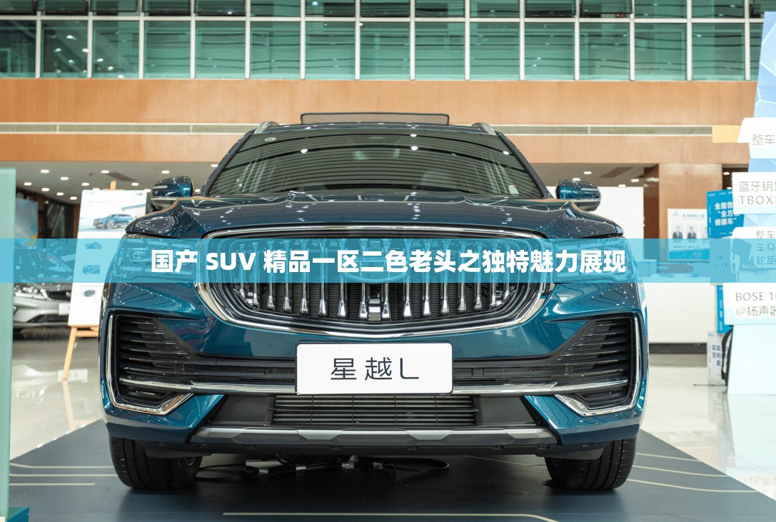 国产 SUV 精品一区二色老头之独特魅力展现