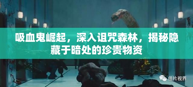 吸血鬼崛起，深入诅咒森林，揭秘隐藏于暗处的珍贵物资