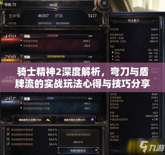 骑士精神2深度解析，弯刀与盾牌流的实战玩法心得与技巧分享