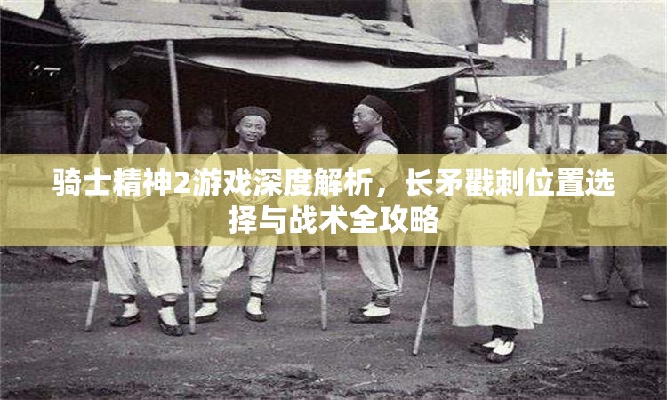 骑士精神2游戏深度解析，长矛戳刺位置选择与战术全攻略