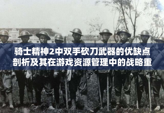 骑士精神2中双手砍刀武器的优缺点剖析及其在游戏资源管理中的战略重要性