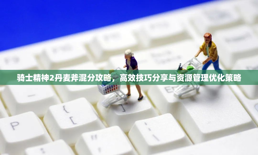 骑士精神2丹麦斧混分攻略，高效技巧分享与资源管理优化策略