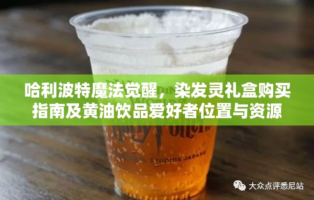 哈利波特魔法觉醒，染发灵礼盒购买指南及黄油饮品爱好者位置与资源管理全攻略