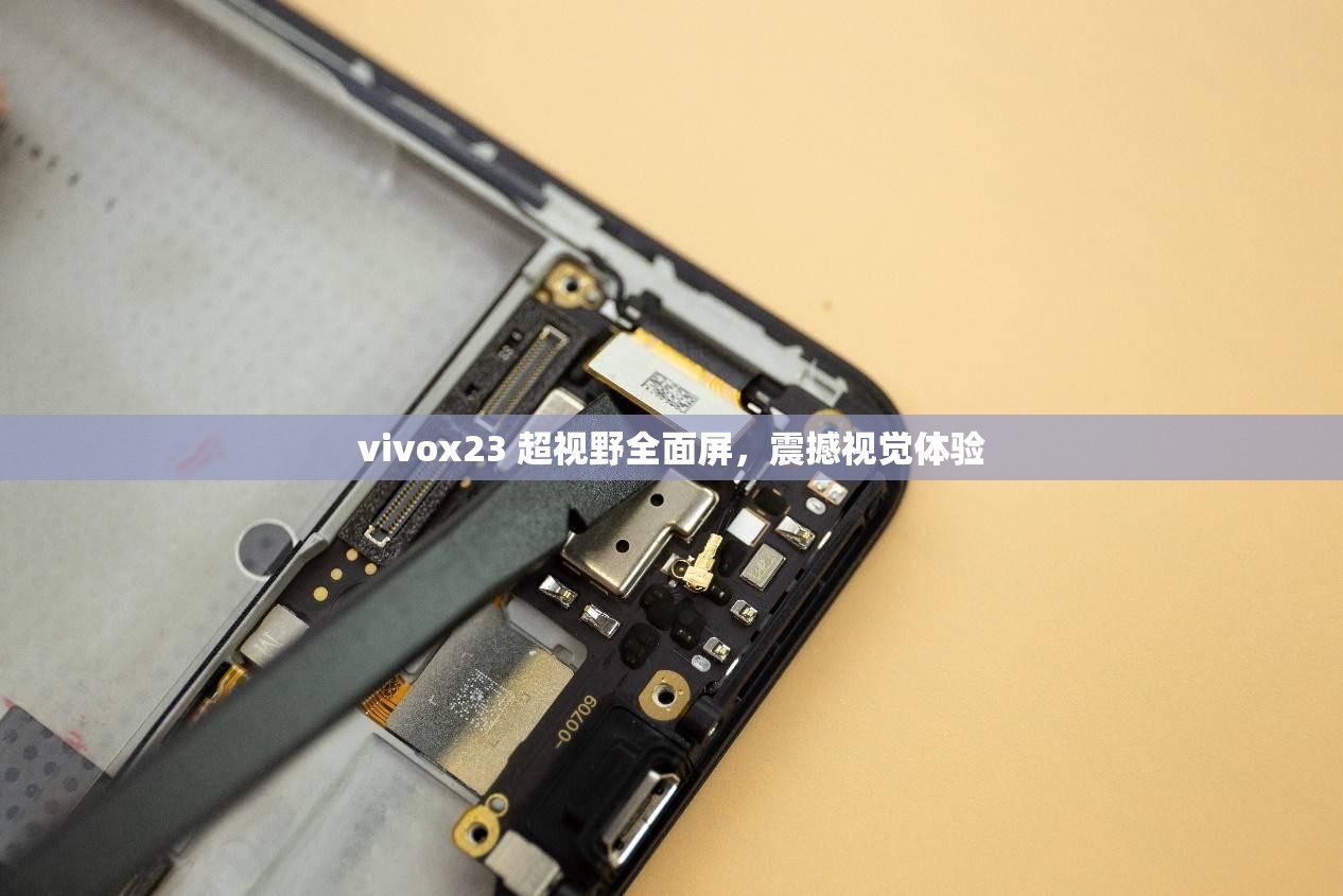 vivox23 超视野全面屏，震撼视觉体验