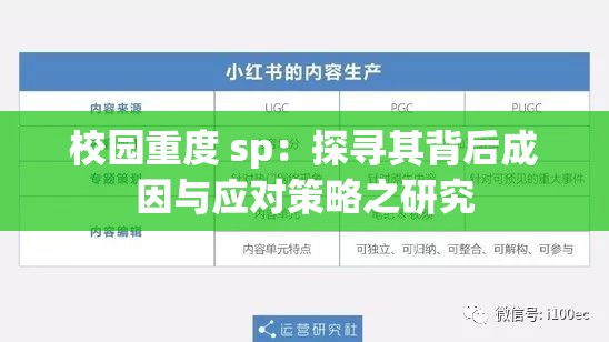 校园重度 sp：探寻其背后成因与应对策略之研究
