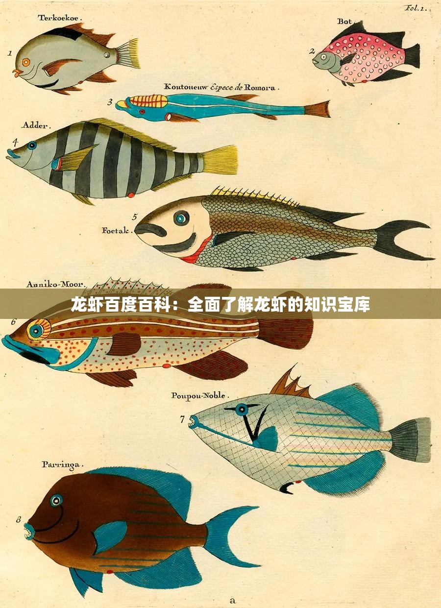 龙虾百度百科：全面了解龙虾的知识宝库