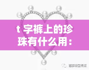 t 字裤上的珍珠有什么用：探究时尚配饰的奥秘