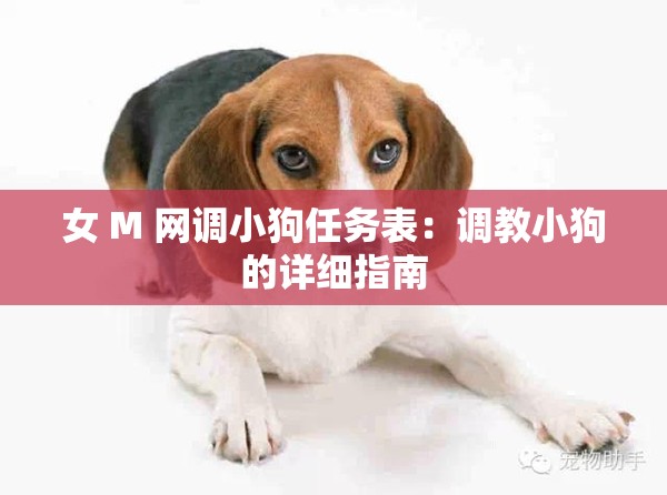 女 M 网调小狗任务表：调教小狗的详细指南
