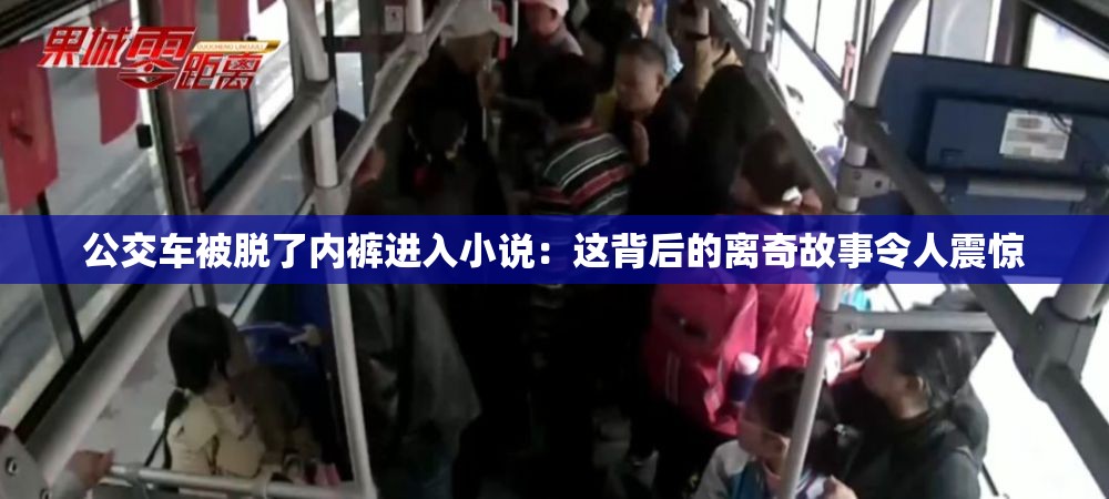 公交车被脱了内裤进入小说：这背后的离奇故事令人震惊