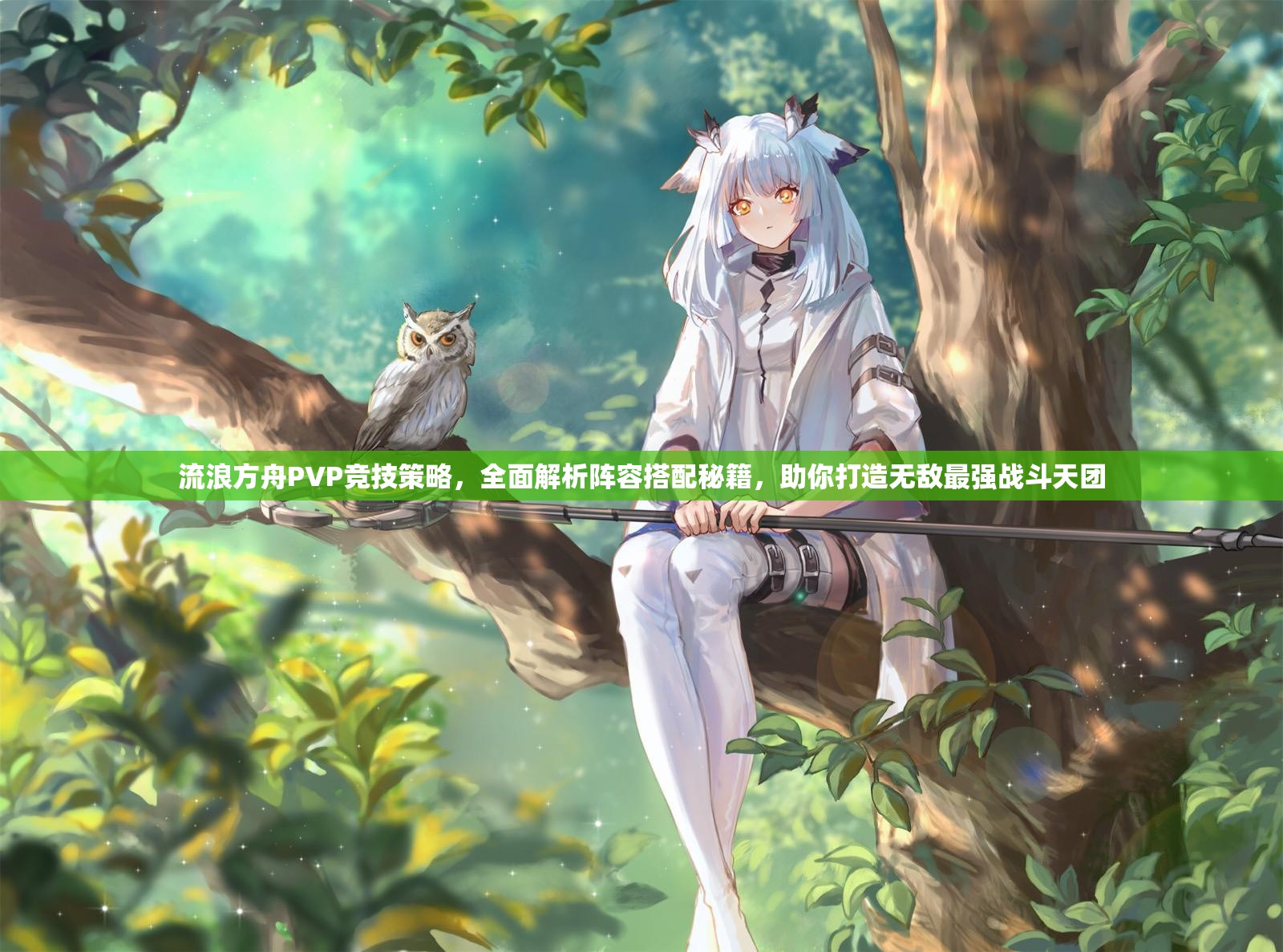 流浪方舟PVP竞技策略，全面解析阵容搭配秘籍，助你打造无敌最强战斗天团
