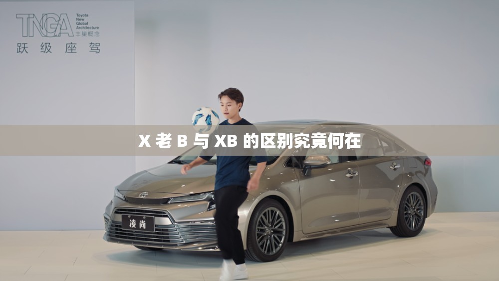 X 老 B 与 XB 的区别究竟何在