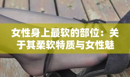 女性身上最软的部位：关于其柔软特质与女性魅力的探讨