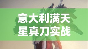 意大利满天星真刀实战：精彩绝伦的格斗对决