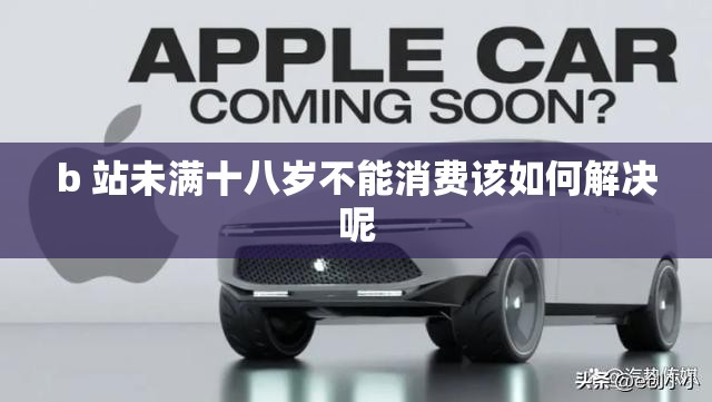 b 站未满十八岁不能消费该如何解决呢