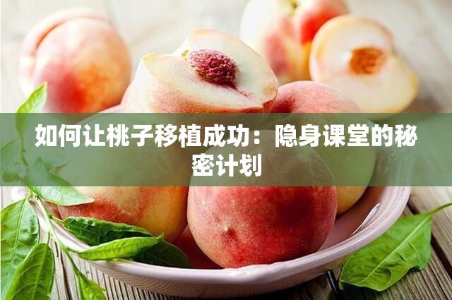 如何让桃子移植成功：隐身课堂的秘密计划