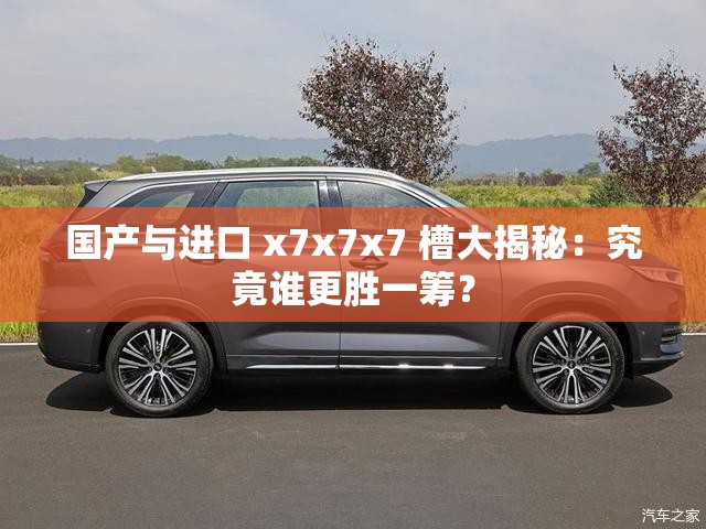 国产与进口 x7x7x7 槽大揭秘：究竟谁更胜一筹？