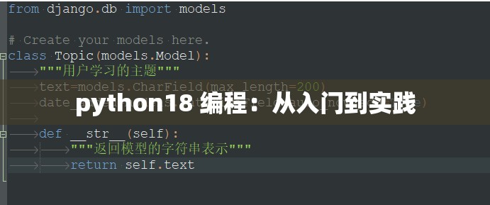 python18 编程：从入门到实践