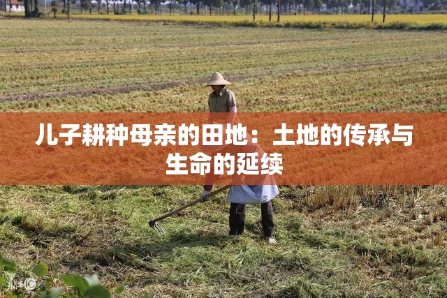 儿子耕种母亲的田地：土地的传承与生命的延续