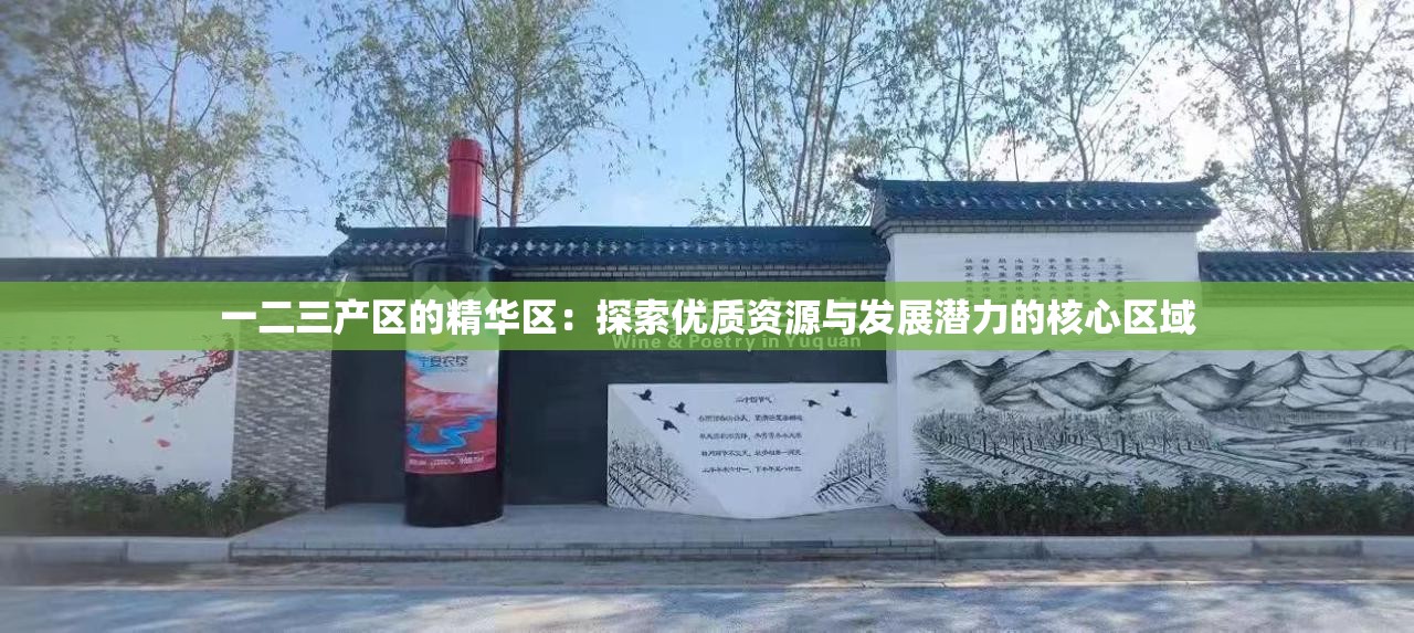 一二三产区的精华区：探索优质资源与发展潜力的核心区域