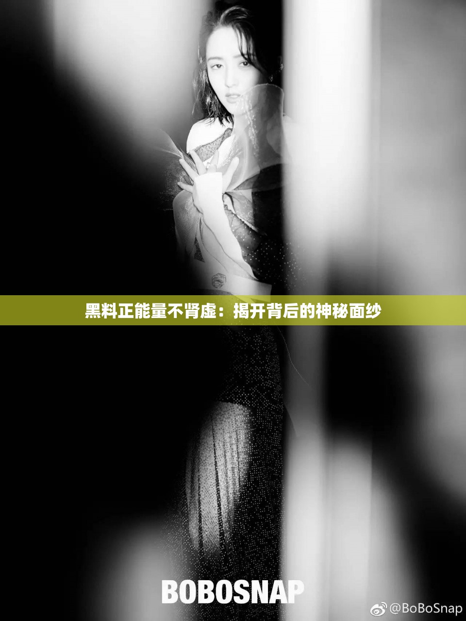 黑料正能量不肾虚：揭开背后的神秘面纱