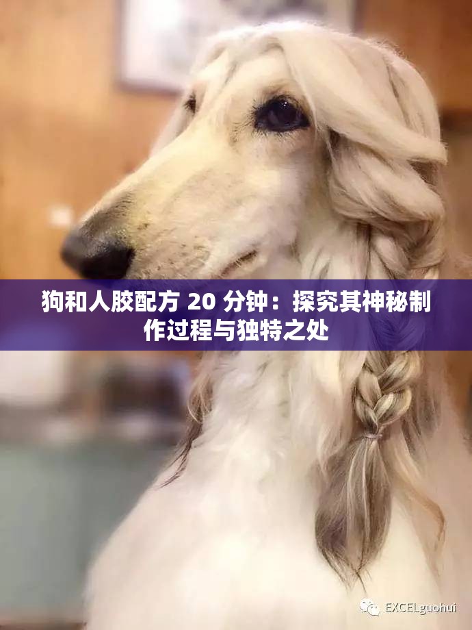 狗和人胶配方 20 分钟：探究其神秘制作过程与独特之处