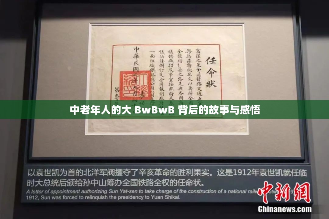 中老年人的大 BwBwB 背后的故事与感悟