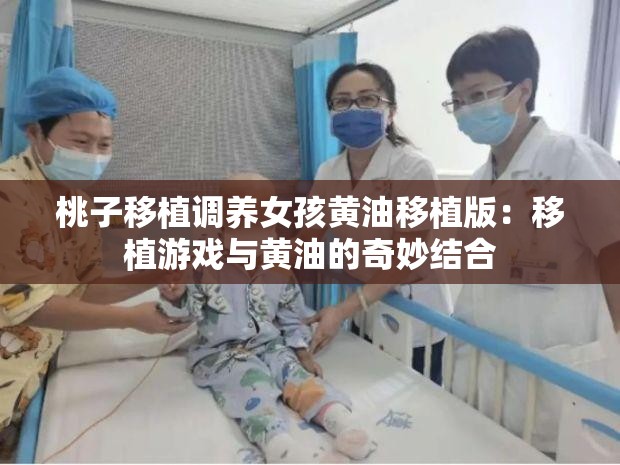桃子移植调养女孩黄油移植版：移植游戏与黄油的奇妙结合