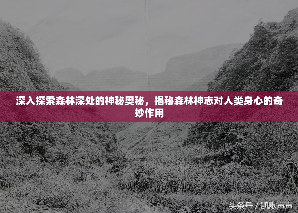 深入探索森林深处的神秘奥秘，揭秘森林神志对人类身心的奇妙作用