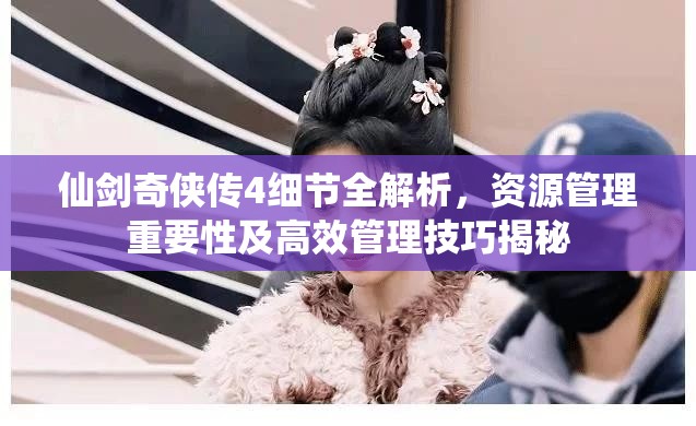 仙剑奇侠传4细节全解析，资源管理重要性及高效管理技巧揭秘
